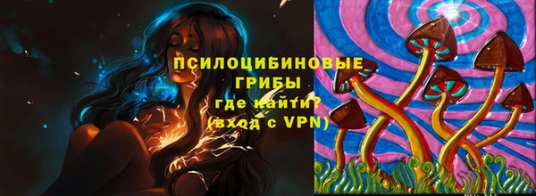дживик Нефтегорск