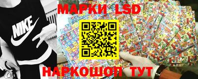 гидропоника Бийск