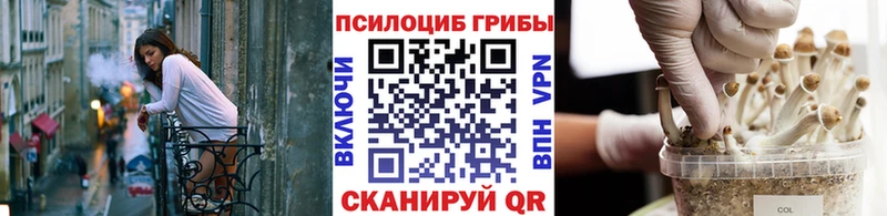 купить наркоту  Всеволожск  Псилоцибиновые грибы мухоморы 