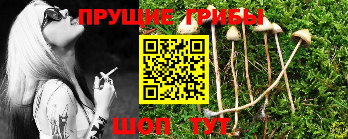 ГАШИШ Всеволожск