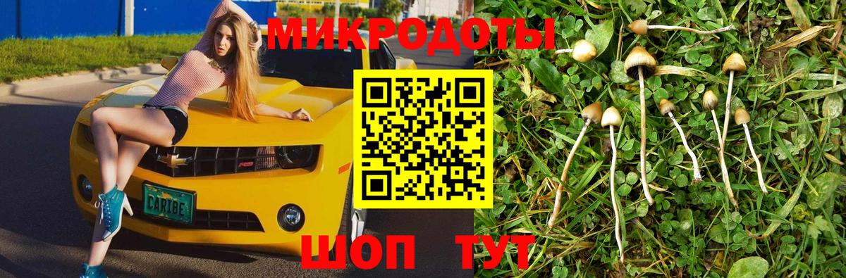Галлюциногенные грибы Magic Shrooms  где найти наркотики  Псилоцибиновые грибы прущие грибы  Всеволожск 