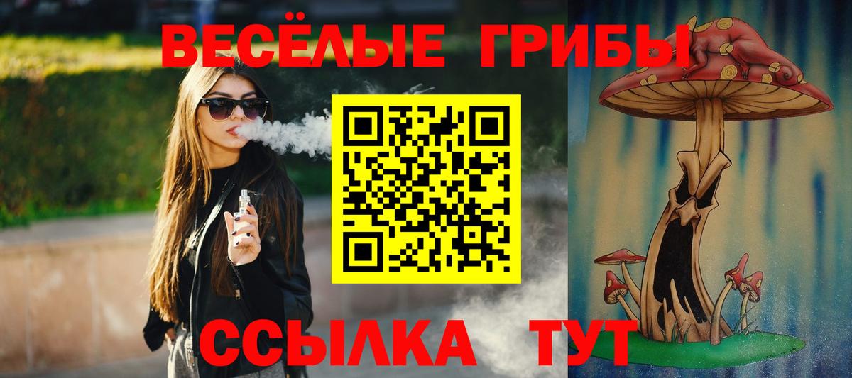 Всеволожск  Псилоцибиновые грибы MAGIC MUSHROOMS  Вход с VPN 
